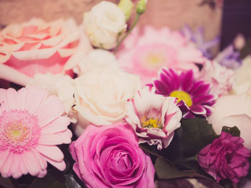Fotograf Botez Sighisoara-Botez Patrizia| RGB Studio